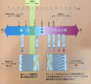 髪に酸性がイイわけ